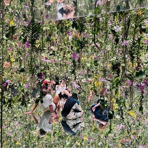 Meet your Posher, Dandan